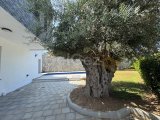 KKTC Girne Ozanköy de Deniz Manzaralı Geniş Teraslı Ful Eşyalı Sıfır Fırsat Villa