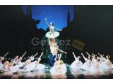 Yaş Grurpları ve Ders Programımız