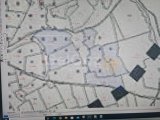 YARKÖYDE SATILIK 43 DÖNÜM ARAZİ.