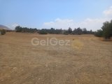 Girne Göçeri bölgesinde anayol üzerinde satılık 5 dönüm arsa