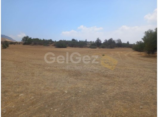 Girne Göçeri bölgesinde anayol üzerinde satılık 5 dönüm arsa