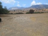 Girne Göçeri bölgesinde anayol üzerinde satılık 5 dönüm arsa