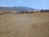 Girne Göçeri bölgesinde anayol üzerinde satılık 5 dönüm arsa