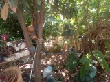 Girne Karşıyaka bölgesinde denize çok yakın bir mesafede satılık 4+1 müstakil ev