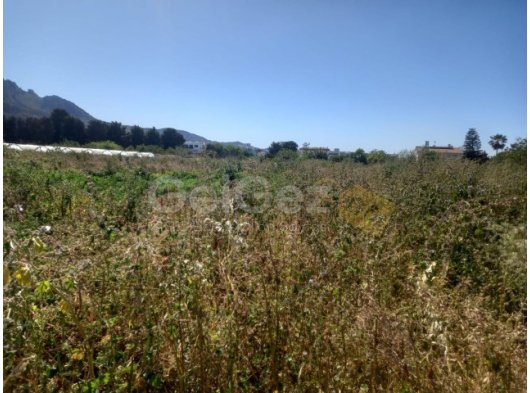 Girne Lapta bölgesinde satılık arsa
