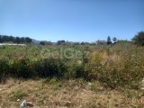 Girne Lapta bölgesinde satılık arsa