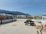 Girne Alsancakta kiralık 1+1 daire