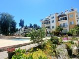 Girne Alsancakta satılık 3+1 daire