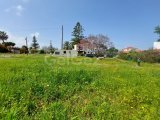 Girne Alsancakta satılık denize 100 m ARSA, 553 M2