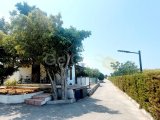Girne Edremitte kiralık 2+1 ikiz ev