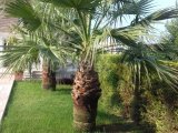 Girne Karaoğlanoğlu satılık 1+1 duplex daire