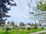 Girne Zeytinlikte kiralık 1+1 daire