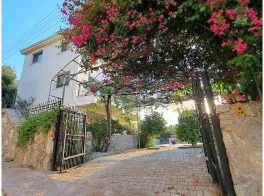 Bellapaıst sarılık vılla