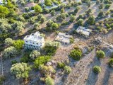 Girne, Zeytinlikte satılık muhteşem arazi