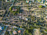 Girne, Zeytinlikte satılık muhteşem arazi