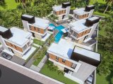 6 VİLLA VİZELENMİŞ PROJESİ İLE SATILIK 2 DÖNÜM ARSA