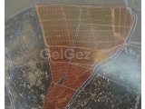 Lefkoşa, Haspolat bölgesinde satılık tarla