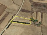 Girne Akdeniz köyünde satılık 4288,70 m2 Türk koçanlı %35 imar izinli arsa