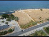 Lapta 'da satılık 5450m2 arsa