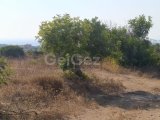 İskele, Karpaz'da satılık arsa