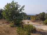 İskele, Karpaz'da satılık arsa