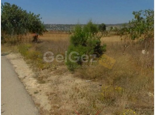 Dipkarpaz'da Anayola yürüme mesafesinde satılık kelepir Tarla