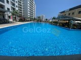 İskele Stılık 1+0
