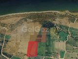 İskele Taşlıca köyünde 12 dönüm 200m2 satılık tarla