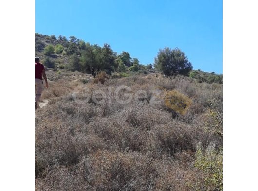 Lefke, Bağlı köy‘de satılık arsa