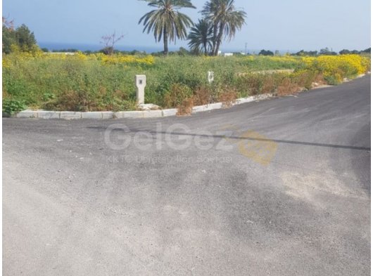 Gazimağusa, Tatlısu'da satılık 3 adet arsa