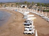 Tatlısu'da satılık 2+1 penthouse