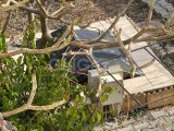 Girne, Çatalköy bölgesinde satılık 4+1 villa