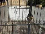 Girne, Çatalköy bölgesinde satılık 4+1 villa