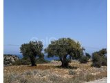 Girne, Esentepe bölgesinde satılık arsa