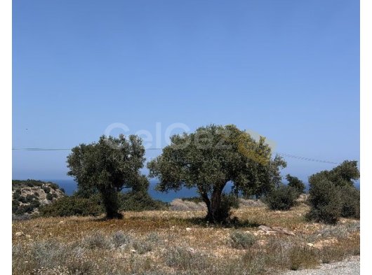 Girne, Esentepe bölgesinde satılık arsa