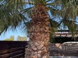 Girne, Lapta bölgesinde satılık 3+1 villa