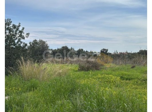 Girne Zeytinlikte satılık arsa