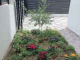 Lefkoşa, Hamitköy'de satılık 3+1 villa