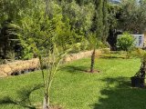 Gazimağusa, Tatlısu bölgesinde satılık muhteşem 4+1 villa
