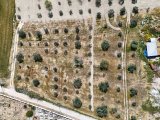 BÜYÜKKONUK BÖLGESİNDE TOPLAMDA 4 DÖNÜM, AYRI AYRI VEYA TÜMÜ SATILIK 3 AYRI KOÇAN ARAZİ. 2 KOÇAN 1200m2 DİR VE YABANCI VE TC. DEN GELEN YATIRIMCILARA DEVİR YAPIM