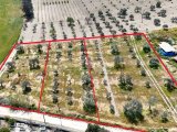 BÜYÜKKONUK BÖLGESİNDE TOPLAMDA 4 DÖNÜM, AYRI AYRI VEYA TÜMÜ SATILIK 3 AYRI KOÇAN ARAZİ. 2 KOÇAN 1200m2 DİR VE YABANCI VE TC. DEN GELEN YATIRIMCILARA DEVİR YAPIM