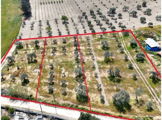 BÜYÜKKONUK BÖLGESİNDE TOPLAMDA 4 DÖNÜM, AYRI AYRI VEYA TÜMÜ SATILIK 3 AYRI KOÇAN ARAZİ. 2 KOÇAN 1200m2 DİR VE YABANCI VE TC. DEN GELEN YATIRIMCILARA DEVİR YAPIM