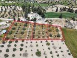 BÜYÜKKONUK BÖLGESİNDE TOPLAMDA 4 DÖNÜM, AYRI AYRI VEYA TÜMÜ SATILIK 3 AYRI KOÇAN ARAZİ. 2 KOÇAN 1200m2 DİR VE YABANCI VE TC. DEN GELEN YATIRIMCILARA DEVİR YAPIM