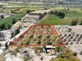 BÜYÜKKONUK BÖLGESİNDE TOPLAMDA 4 DÖNÜM, AYRI AYRI VEYA TÜMÜ SATILIK 3 AYRI KOÇAN ARAZİ. 2 KOÇAN 1200m2 DİR VE YABANCI VE TC. DEN GELEN YATIRIMCILARA DEVİR YAPIM