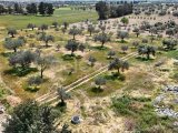 BÜYÜKKONUK BÖLGESİNDE TOPLAMDA 4 DÖNÜM, AYRI AYRI VEYA TÜMÜ SATILIK 3 AYRI KOÇAN ARAZİ. 2 KOÇAN 1200m2 DİR VE YABANCI VE TC. DEN GELEN YATIRIMCILARA DEVİR YAPIM