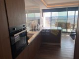 kiralık studio daire long beach bölgesi grand sapphire