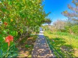 Girne, Alsancak'ta satılık muhteşem 5+2 villa