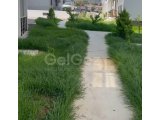 ACİL SATIŞ!!! Girne, Alsancak'ta satılık yeni, geniş 1+1 daire