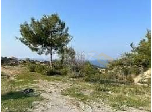 Satılık Denize Sıfır 210 Dönüm Arazi, Girne, Bahçeli Bölgesi