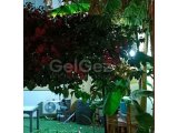 Girne Çatalköy bölgesinde satılık 1+1 taunhaus daire ( loft)